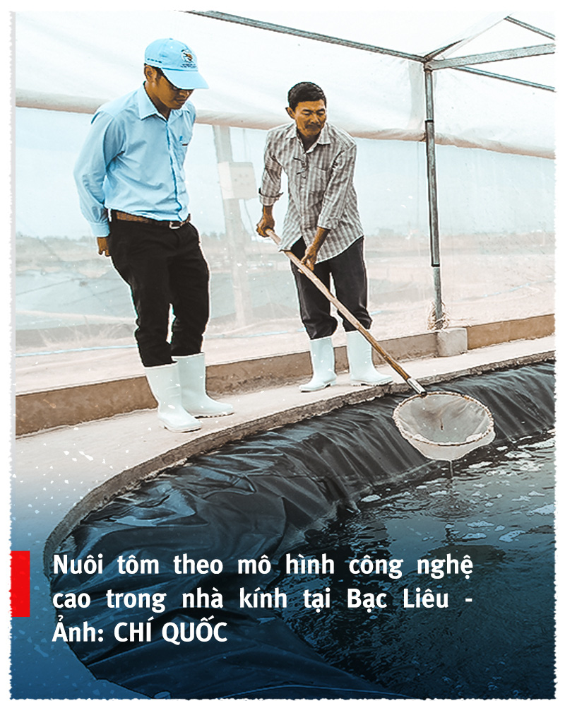 Vượt sóng COVID-19: Thủ phủ tôm Sóc Trăng vào vụ ‘trúng bể tay’ - Ảnh 10.