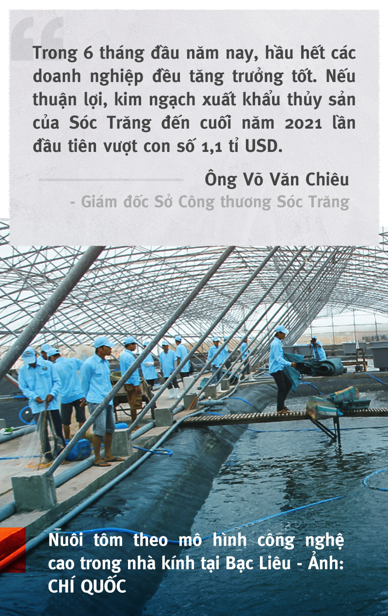 Vượt sóng COVID-19: Thủ phủ tôm Sóc Trăng vào vụ ‘trúng bể tay’ - Ảnh 6.
