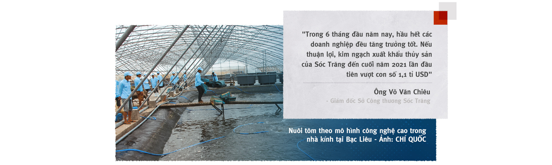 Vượt sóng COVID-19: Thủ phủ tôm Sóc Trăng vào vụ ‘trúng bể tay’ - Ảnh 6.