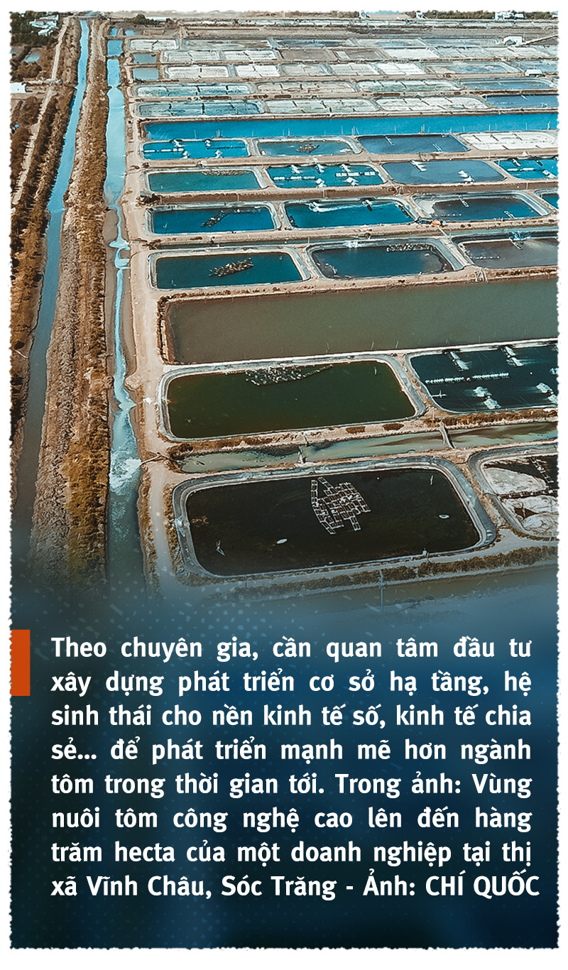 Vượt sóng COVID-19: Thủ phủ tôm Sóc Trăng vào vụ ‘trúng bể tay’ - Ảnh 8.