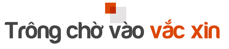 Vượt sóng COVID-19: Thủ phủ tôm Sóc Trăng vào vụ ‘trúng bể tay’ - Ảnh 9.