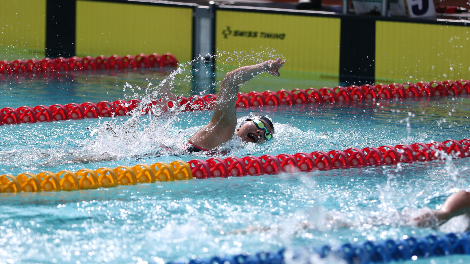 Chờ đợi gì ở Ánh Viên, Huy Hoàng? - Ảnh 1. Chờ đợi gì ở Ánh Viên, Huy Hoàng? - Ảnh 1.