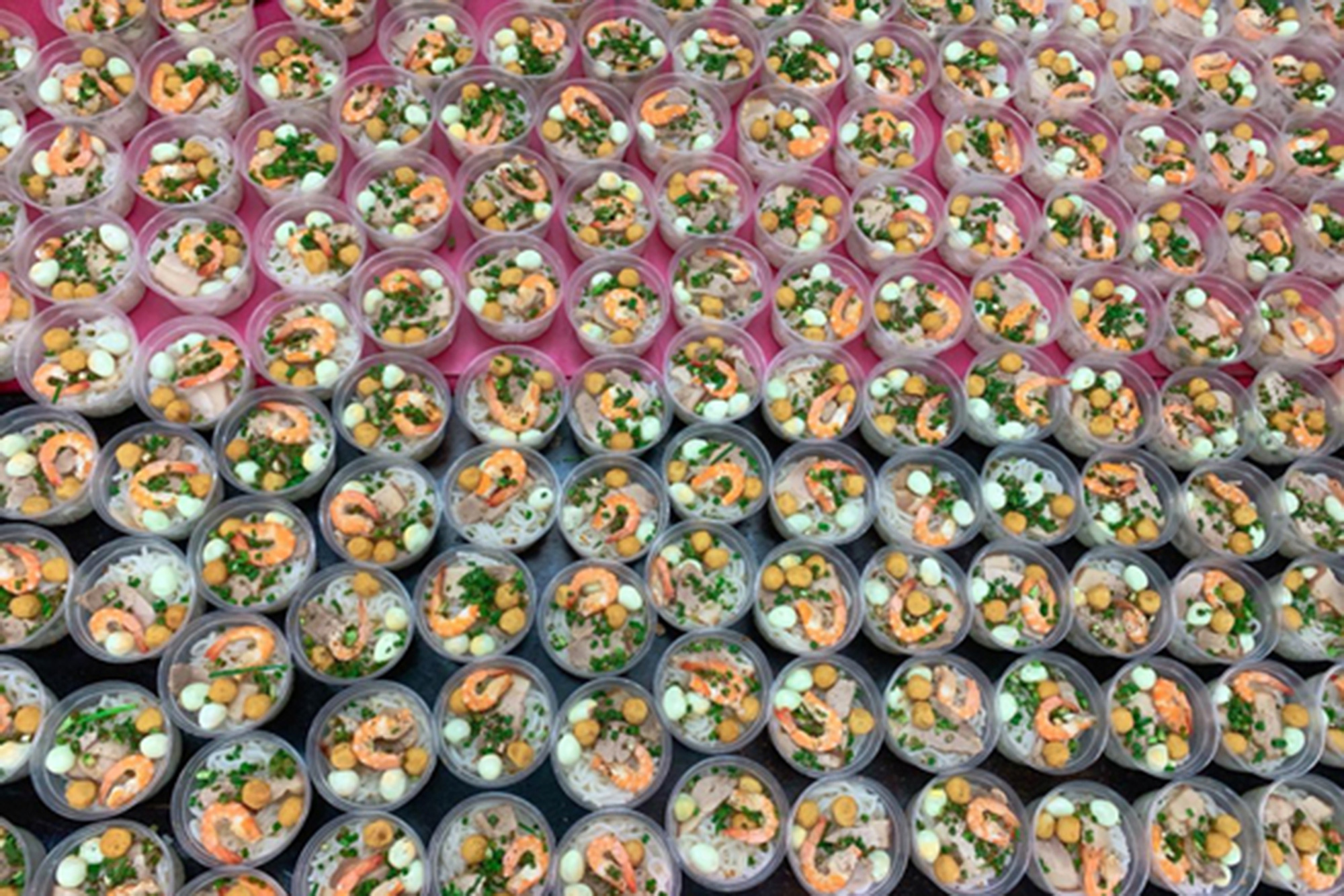 Tấm lòng thơm thảo của cô chủ trẻ 25 tuổi - Ảnh 1. Tấm lòng thơm thảo của cô chủ trẻ 25 tuổi - Ảnh 1.