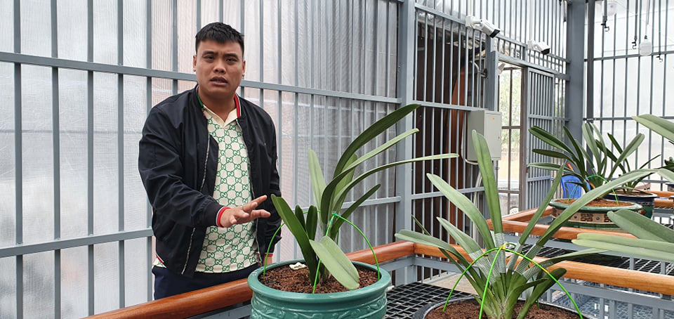 ‘Đại gia’ lan đột biến nổi tiếng trên mạng bị bắt vì khai thác hàng triệu tấn than lậu - Ảnh 1. ‘Đại gia’ lan đột biến nổi tiếng trên mạng bị bắt vì khai thác hàng triệu tấn than lậu - Ảnh 1.