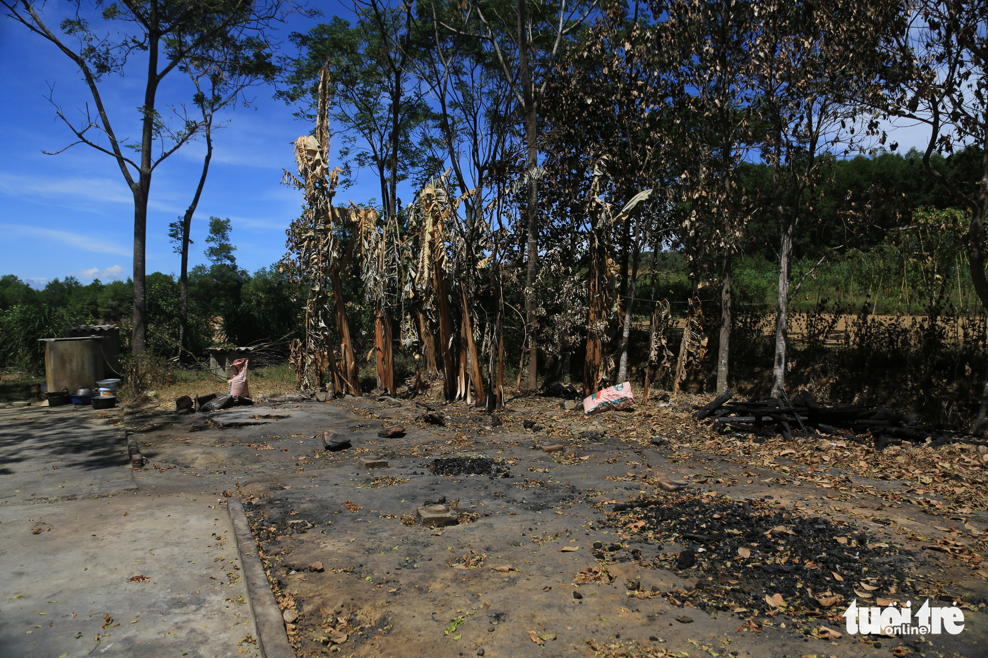 Nữ sinh lớp 8 nói đốt hàng loạt nhà chứa rơm vì hàng xóm chê bai người thân trong nhà - Ảnh 1. Nữ sinh lớp 8 nói đốt hàng loạt nhà chứa rơm vì hàng xóm chê bai người thân trong nhà - Ảnh 1.