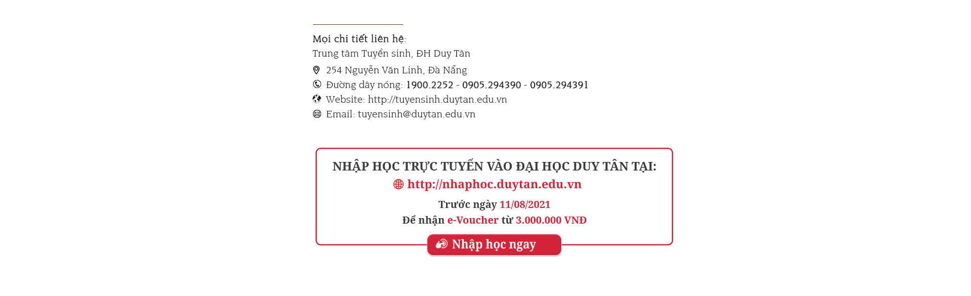 Sinh viên Ngoại ngữ DTU với khoảng trời riêng cho học tập và trưởng thành - Ảnh 11.