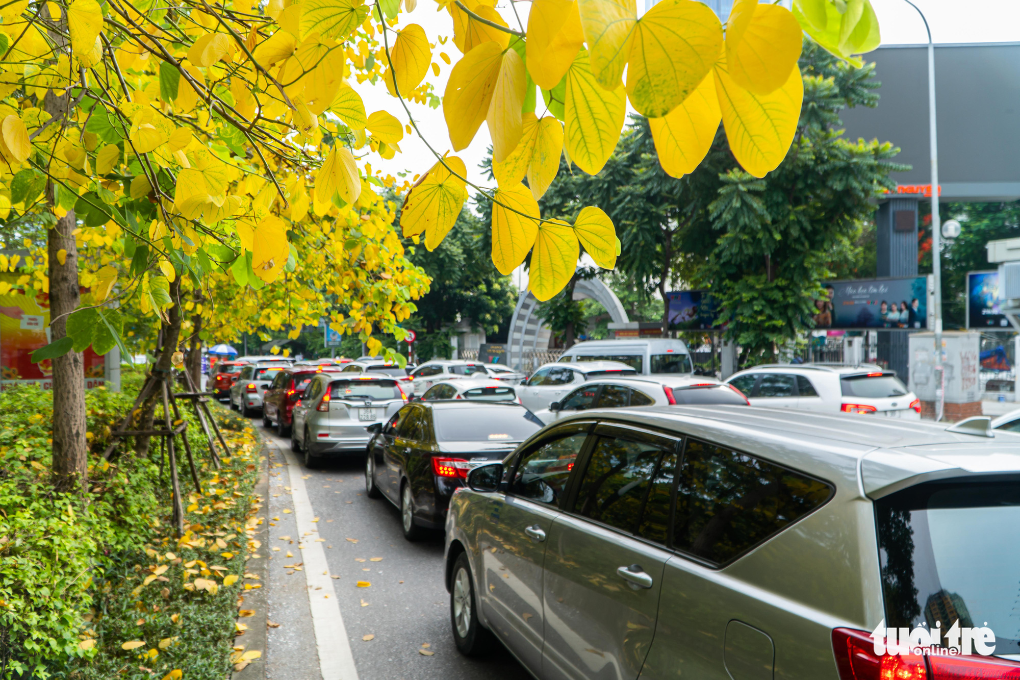 Đã có giấy đi đường sao còn đòi lịch trực, lịch làm việc, phân công nhiệm vụ...? - Ảnh 6. Đã có giấy đi đường sao còn đòi lịch trực, lịch làm việc, phân công nhiệm vụ...? - Ảnh 6.