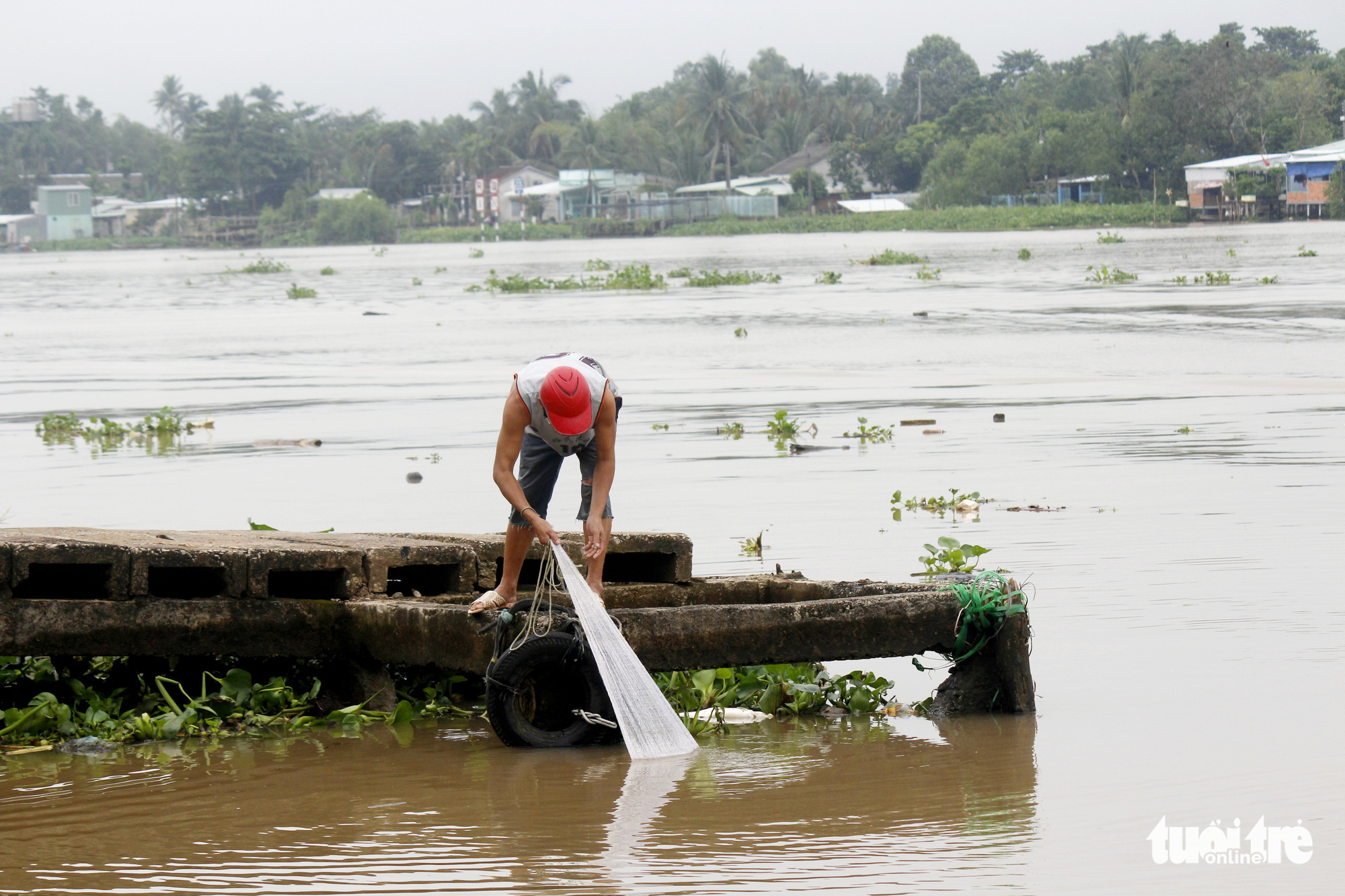 Dân vùng ven Cần Thơ vui mừng thả lưới, câu cá sau 2 tháng ở nhà - Ảnh 5. Dân vùng ven Cần Thơ vui mừng thả lưới, câu cá sau 2 tháng ở nhà - Ảnh 5.