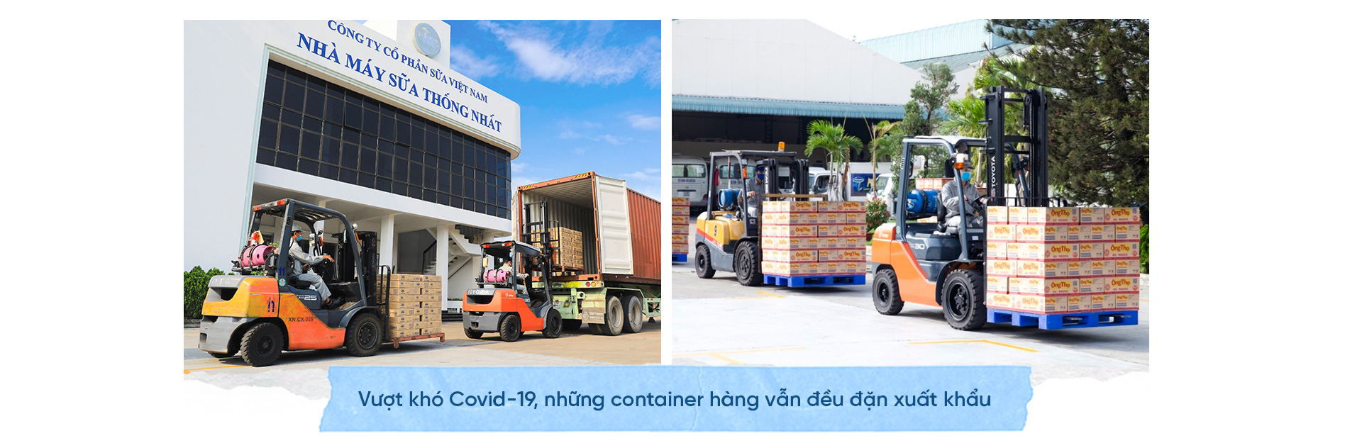 Vinamilk: Dấu son sữa Việt trên đấu trường quốc tế - Ảnh 18.