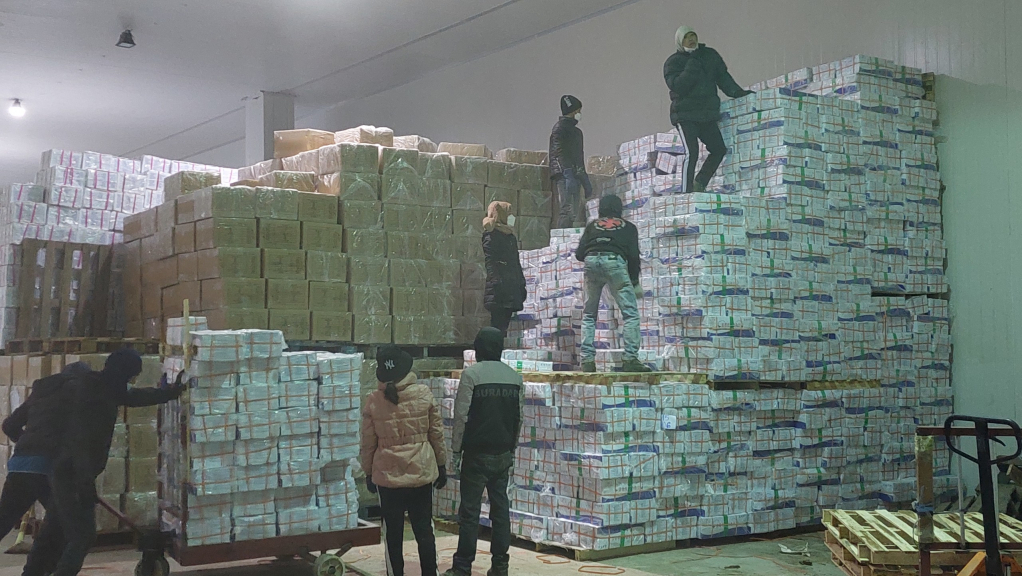 Từ An Giang ra Móng Cái, 1 tuần chưa thông quan, nhưng đã có hy vọng - Ảnh 3. Từ An Giang ra Móng Cái, 1 tuần chưa thông quan, nhưng đã có hy vọng - Ảnh 3.