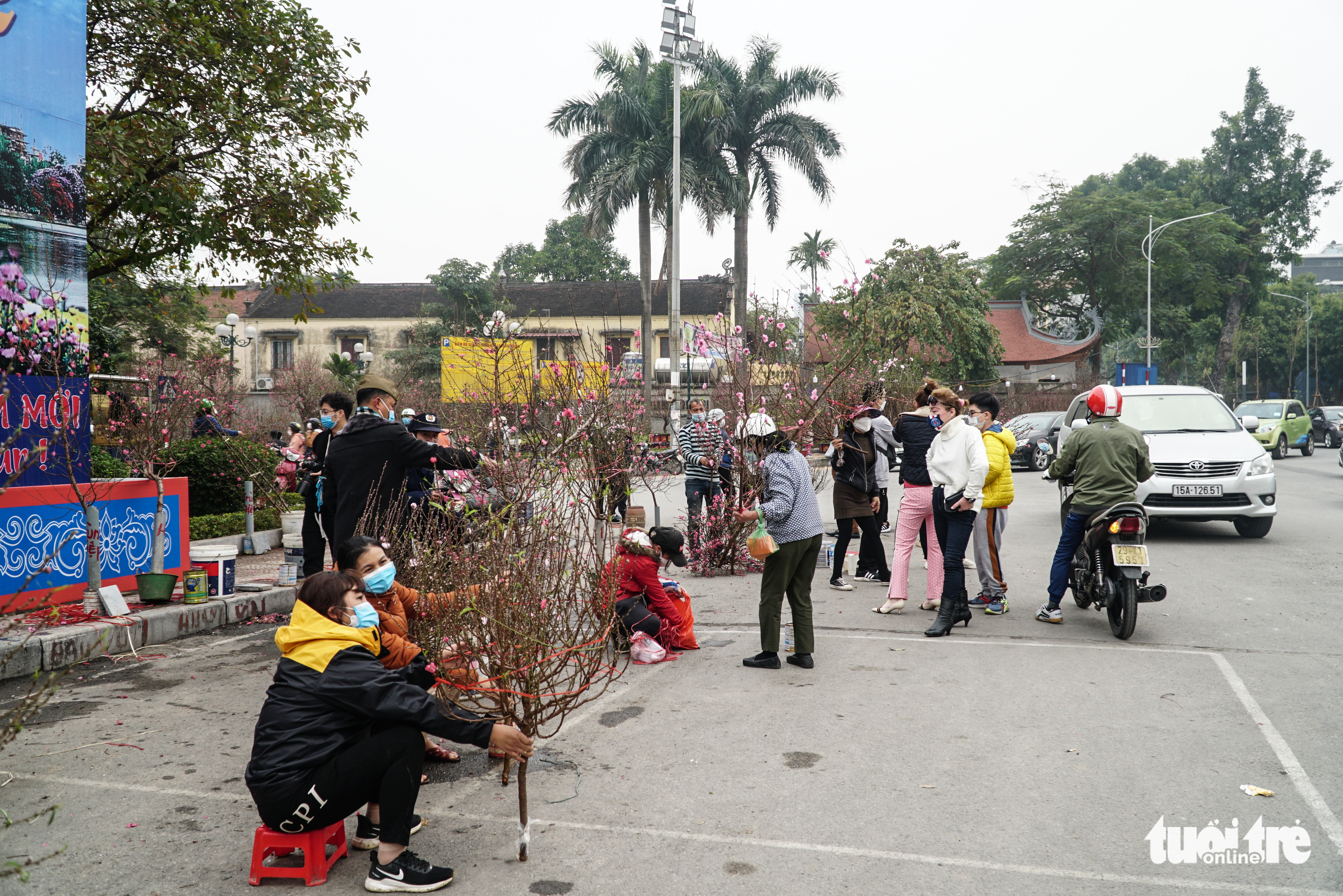 Đào hoa đã ngập phố Hà Nội, 10 người bán 1 người mua - Ảnh 5. Đào hoa đã ngập phố Hà Nội, 10 người bán 1 người mua - Ảnh 5.