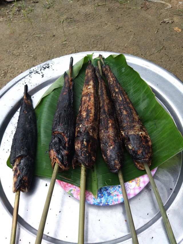 Cá lóc nướng trui, gà luộc xé phay: Món dân dã mà đậm đà hương vị Tết - Ảnh 2. Cá lóc nướng trui, gà luộc xé phay: Món dân dã mà đậm đà hương vị Tết - Ảnh 2.