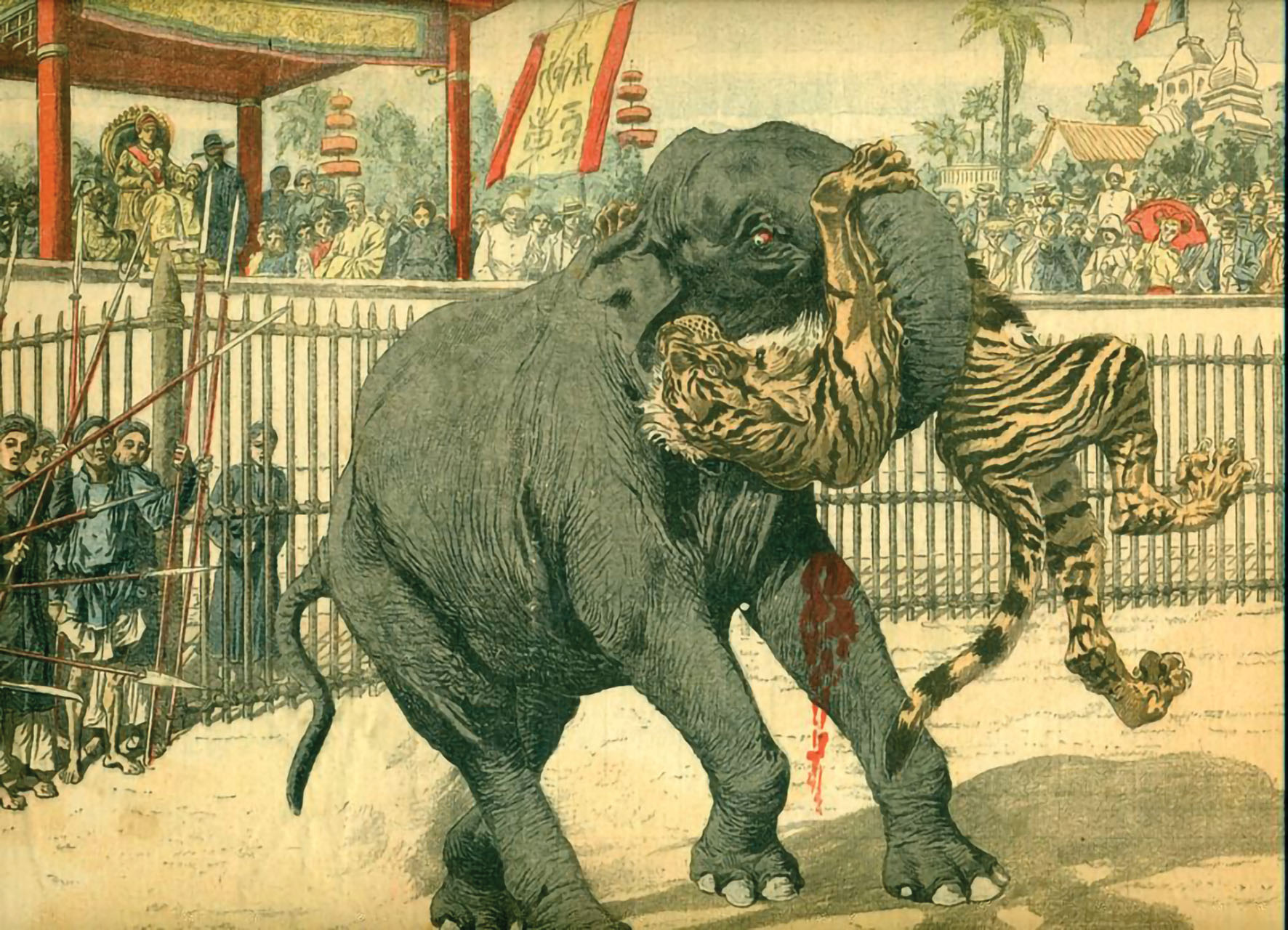 Thủy Ba nổi tiếng làng bắt cọp - Ảnh 4.