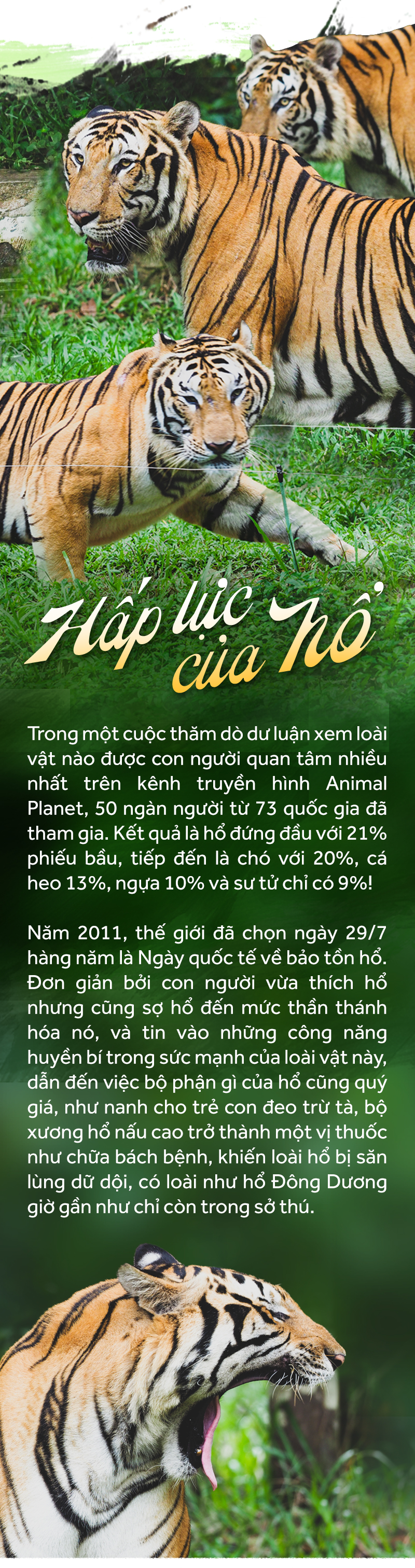 CHĂM ÔNG BA MƯƠI… - Ảnh 9.