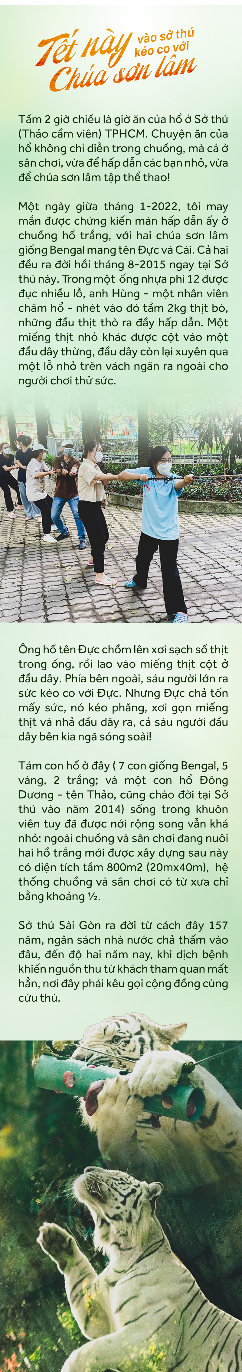 CHĂM ÔNG BA MƯƠI… - Ảnh 14.