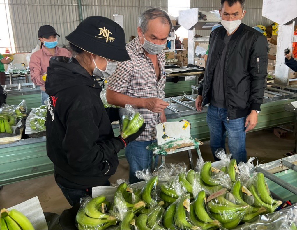 Trồng chuối nuôi heo, bầu Đức đặt kế hoạch lợi nhuận nghìn tỉ, trả hết nợ - Ảnh 1. Trồng chuối nuôi heo, bầu Đức đặt kế hoạch lợi nhuận nghìn tỉ, trả hết nợ - Ảnh 1.