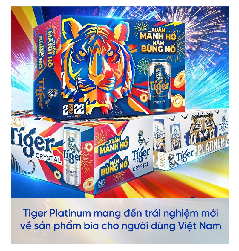 30 năm chặng đường phát triển cùng Việt Nam - Ảnh 3.