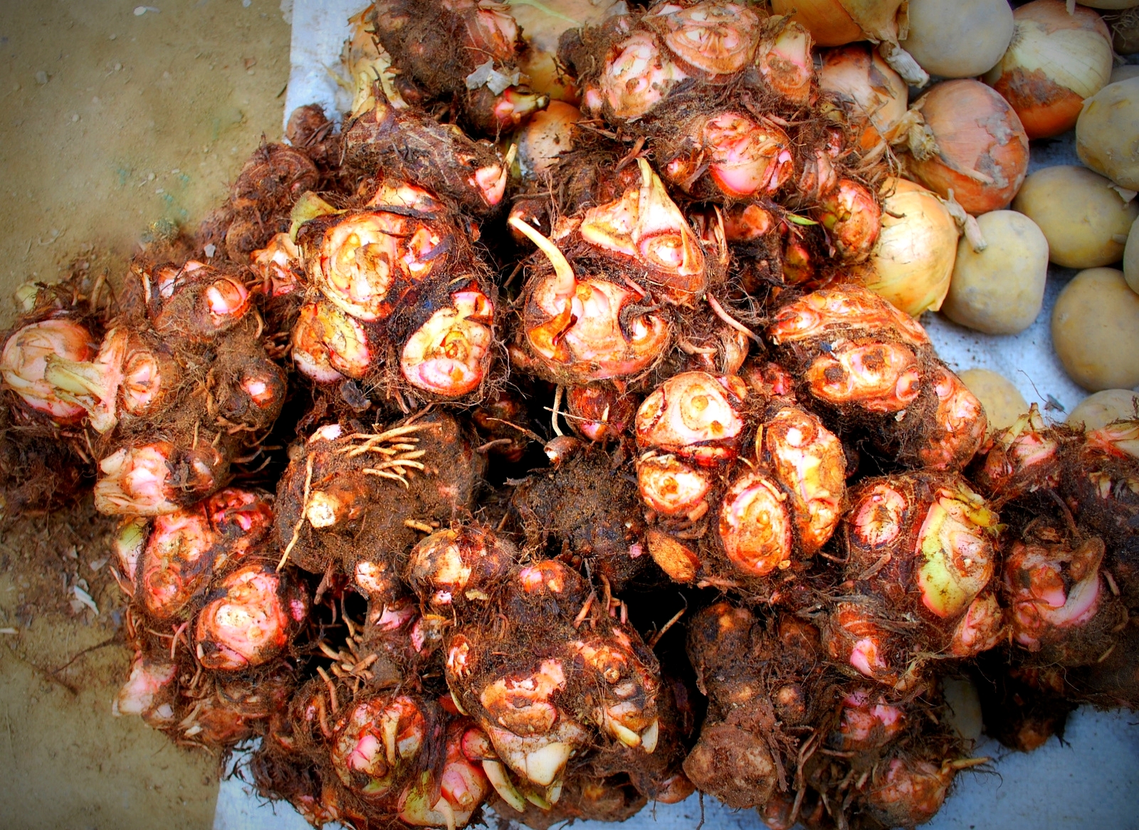 Cuối năm ăn trả canh môn... - Ảnh 3. Cuối năm ăn trả canh môn... - Ảnh 3.