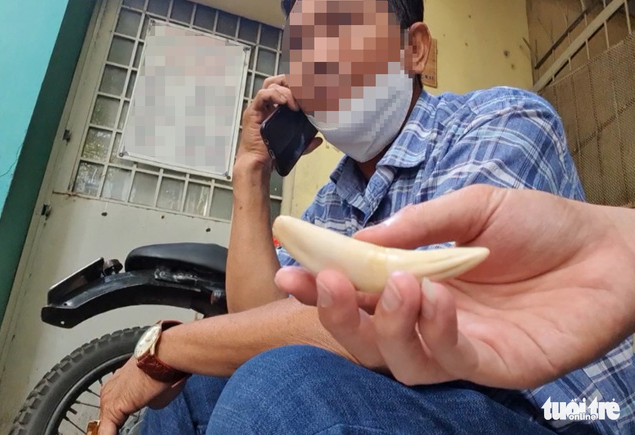 Vô tư chào bán nanh, móng, da... hổ ngày cận Tết - Ảnh 3. Vô tư chào bán nanh, móng, da... hổ ngày cận Tết - Ảnh 3.