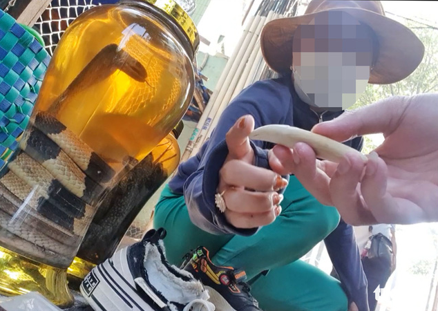 Vô tư chào bán nanh, móng, da... hổ ngày cận Tết - Ảnh 2. Vô tư chào bán nanh, móng, da... hổ ngày cận Tết - Ảnh 2.