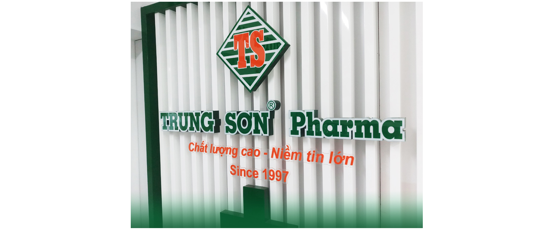 Trung Sơn Pharma và hành trình chuỗi 100 nhà thuốc từ vùng đất Tây Đô - Ảnh 10.