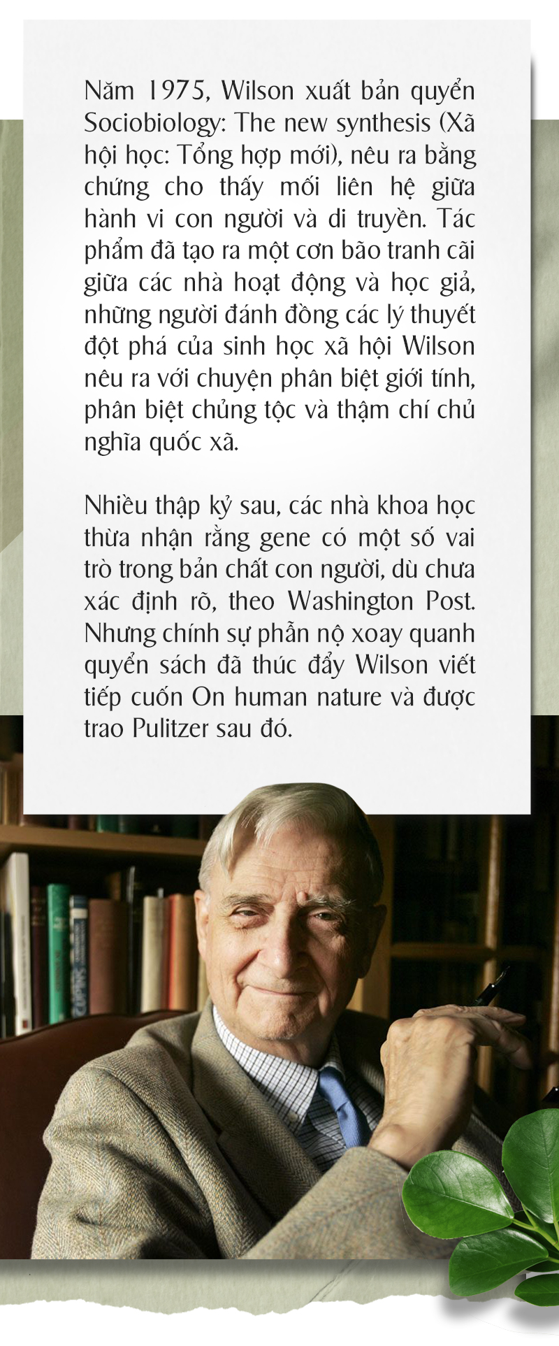 Trào lưu nuôi kiến kiểng - Ảnh 17.