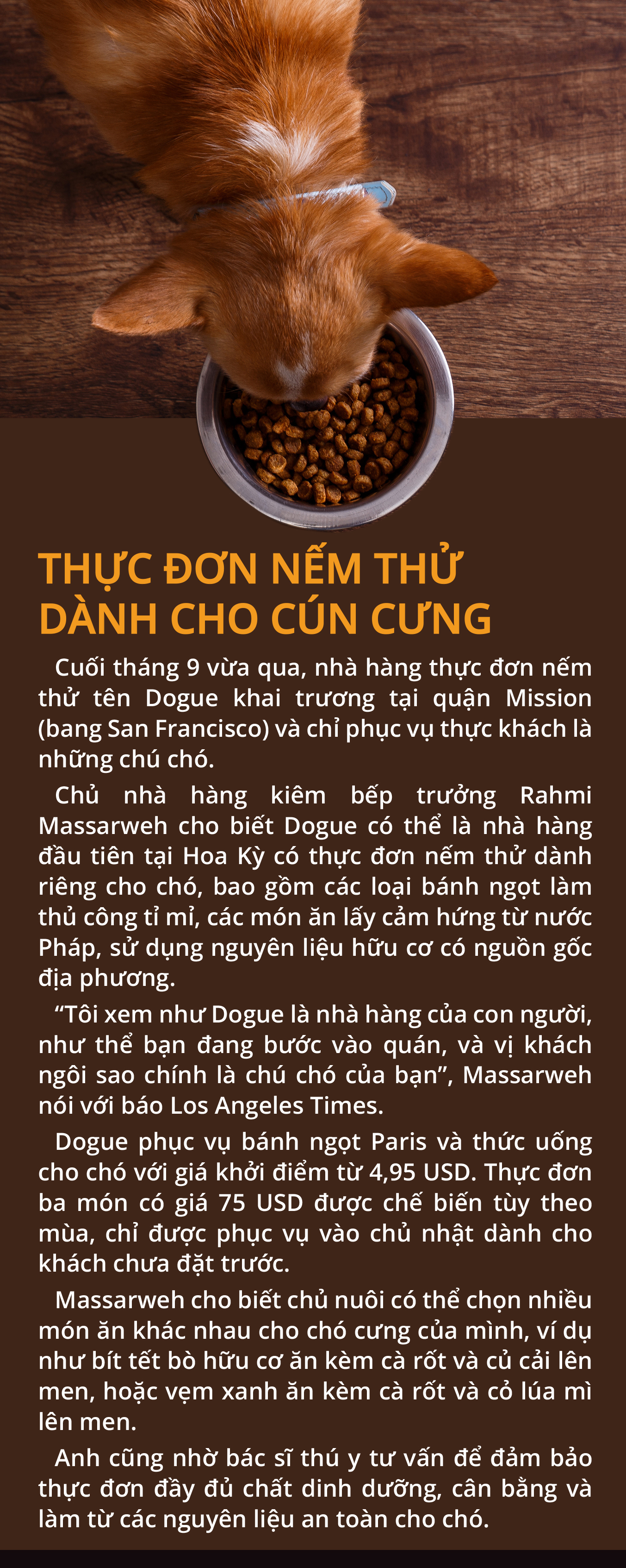 Bữa ăn hạng sang cho người bình dân - Ảnh 14.