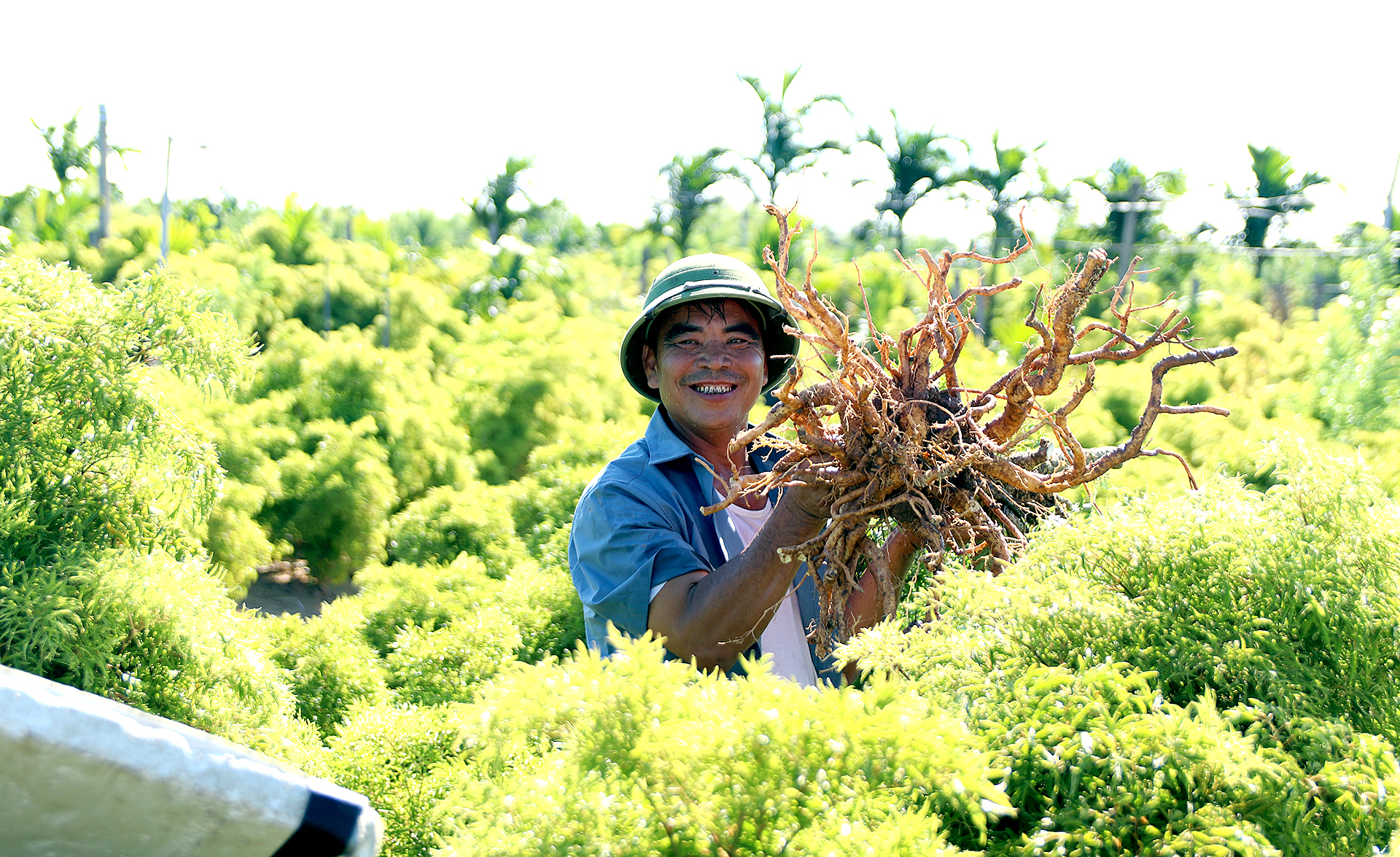 Đi tìm tinh hoa của đất trời - Ảnh 13.