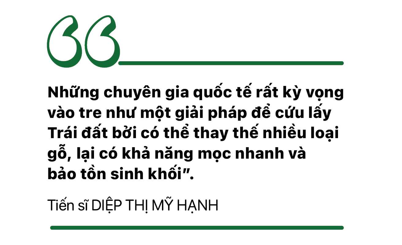 Giữ nguồn gene cho mai sau - Ảnh 17.