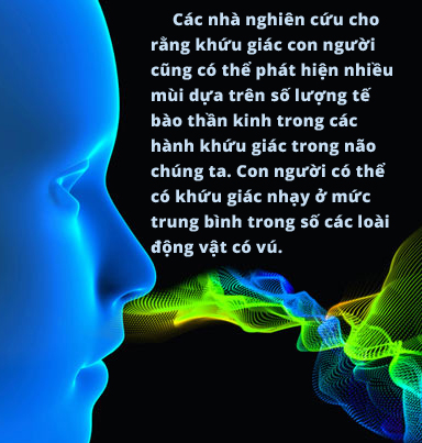 Ngửi mùi bắt bệnh - Ảnh 11.
