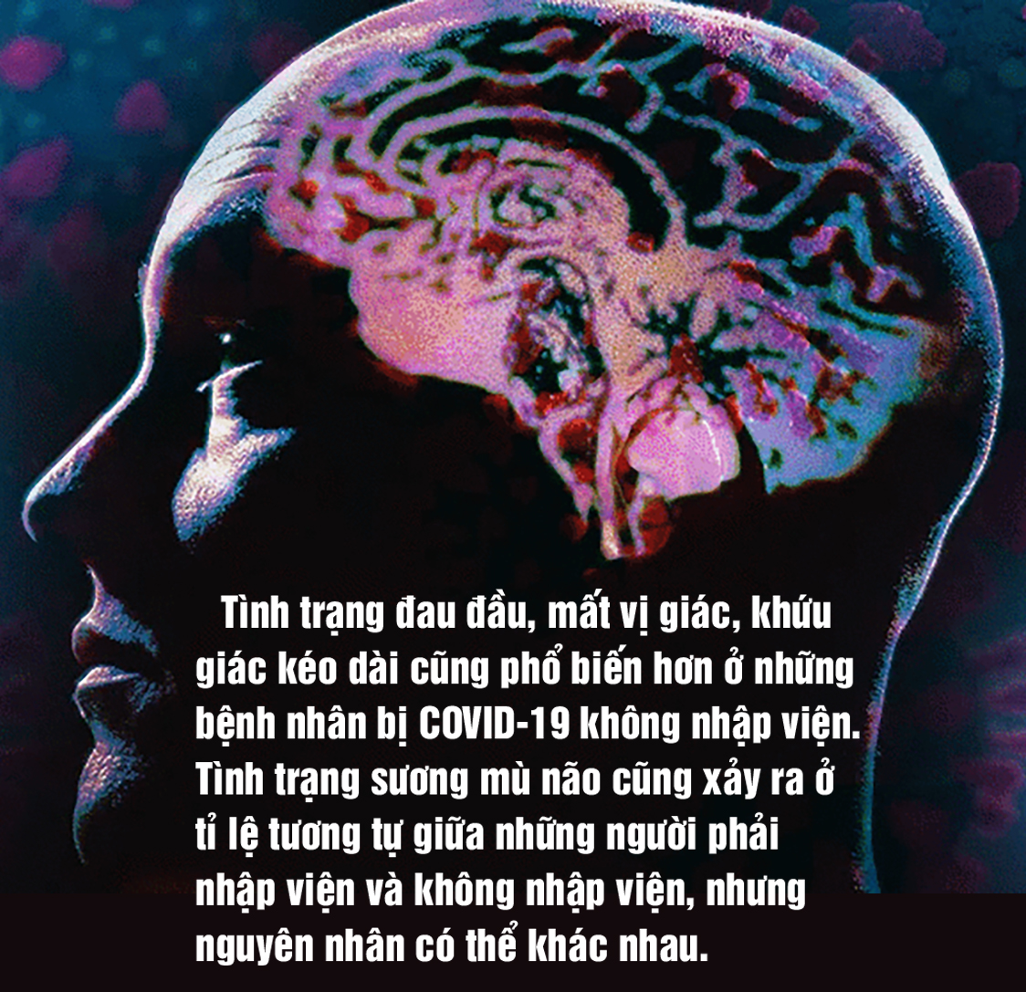 COVID-19 đã làm gì não của chúng ta - Ảnh 5.