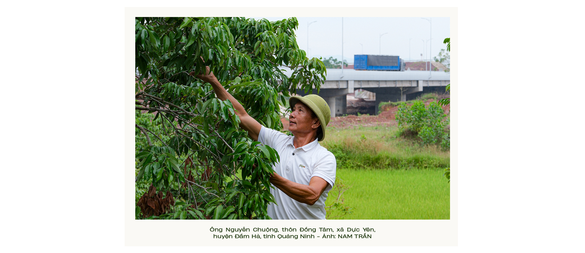 Quảng Ninh bứt phá - Ảnh 21.