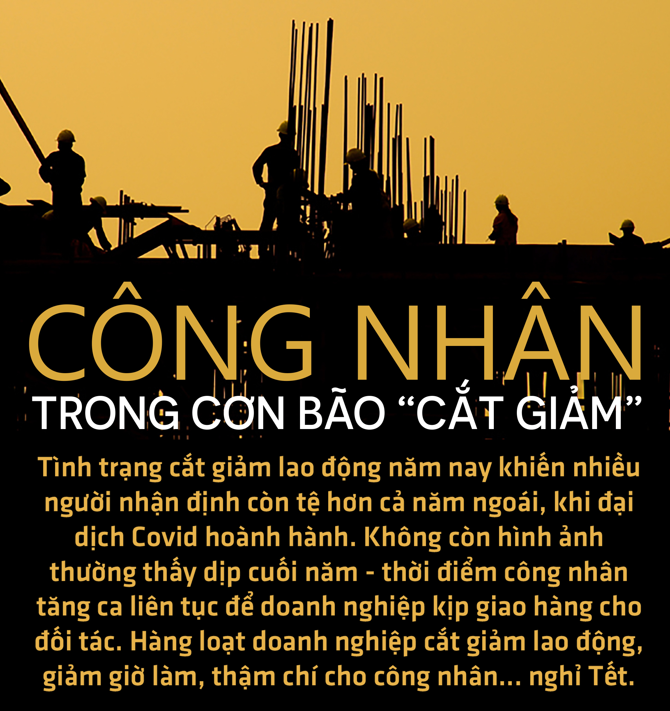 Sự khốc liệt của thị trường lao động - Ảnh 10.