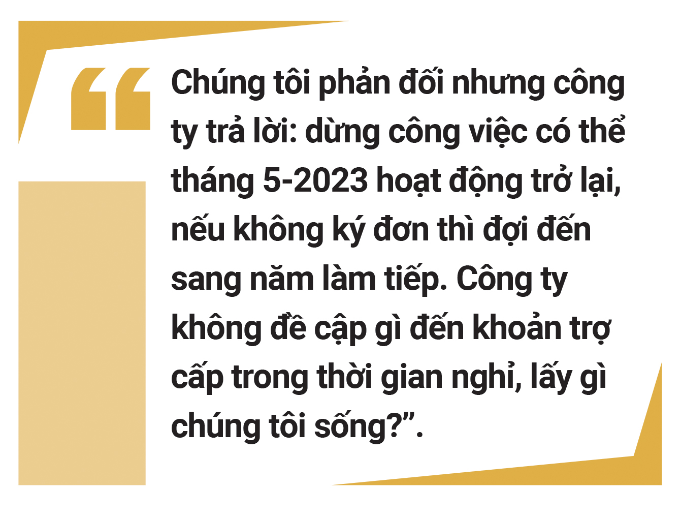 Sự khốc liệt của thị trường lao động - Ảnh 24.