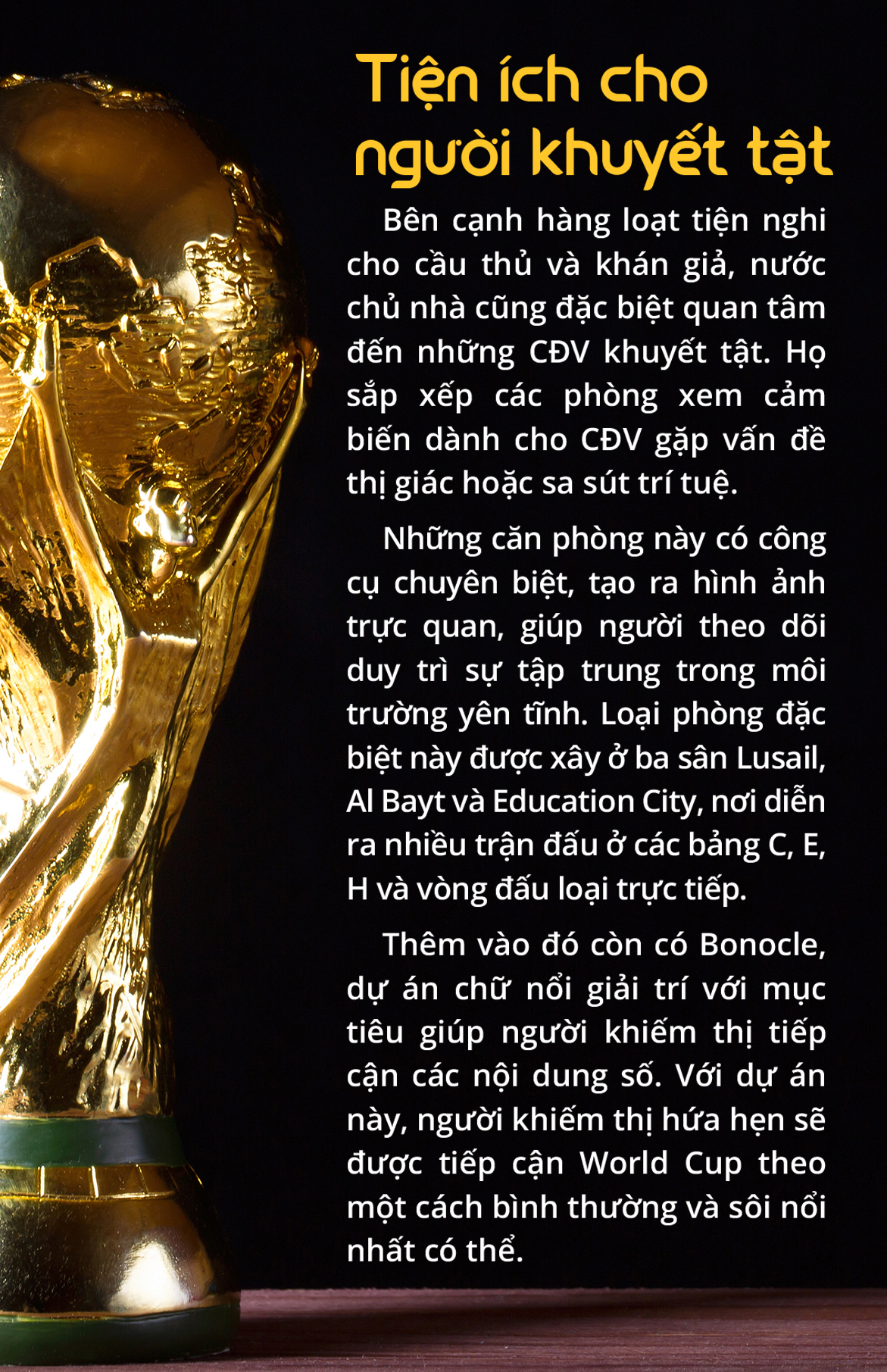 World Cup 2022: Giải vô địch không dành cho thế giới - Ảnh 18.