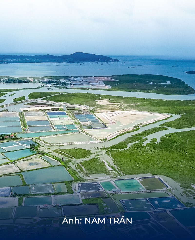Móng Cái - Dubai của Việt Nam trong tương lai - Ảnh 27.