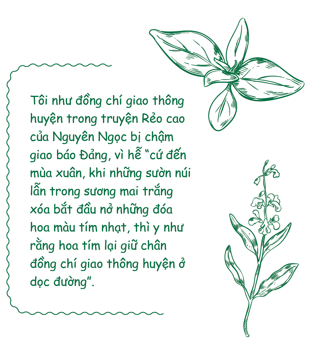 Cung đường thảo mộc - Ảnh 2.