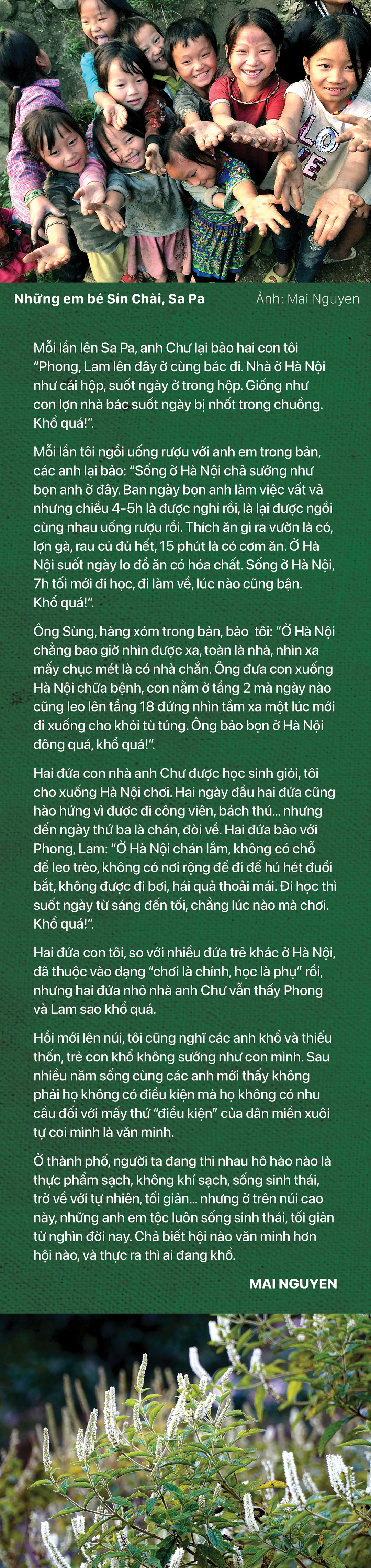 Cung đường thảo mộc - Ảnh 13.