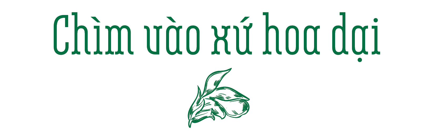 Cung đường thảo mộc - Ảnh 1.