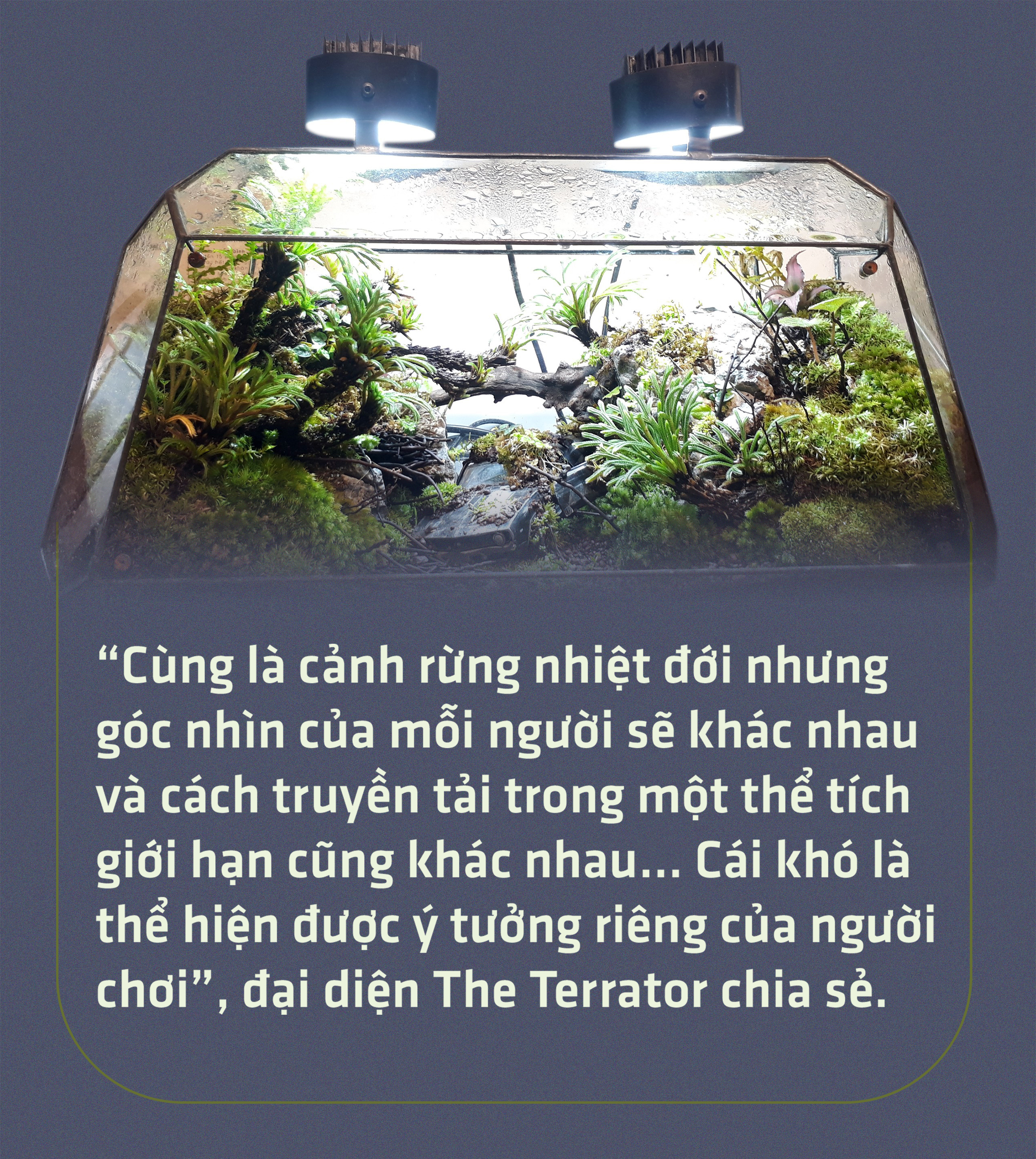 Đem thiên nhiên vào hộp Terrarium - Ảnh 8.