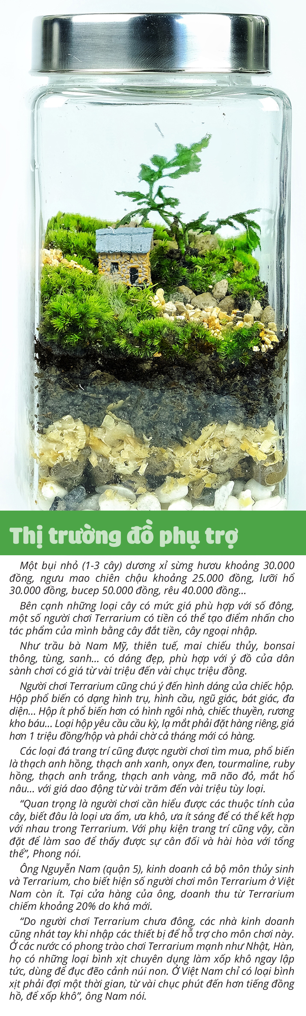 Đem thiên nhiên vào hộp Terrarium - Ảnh 11.