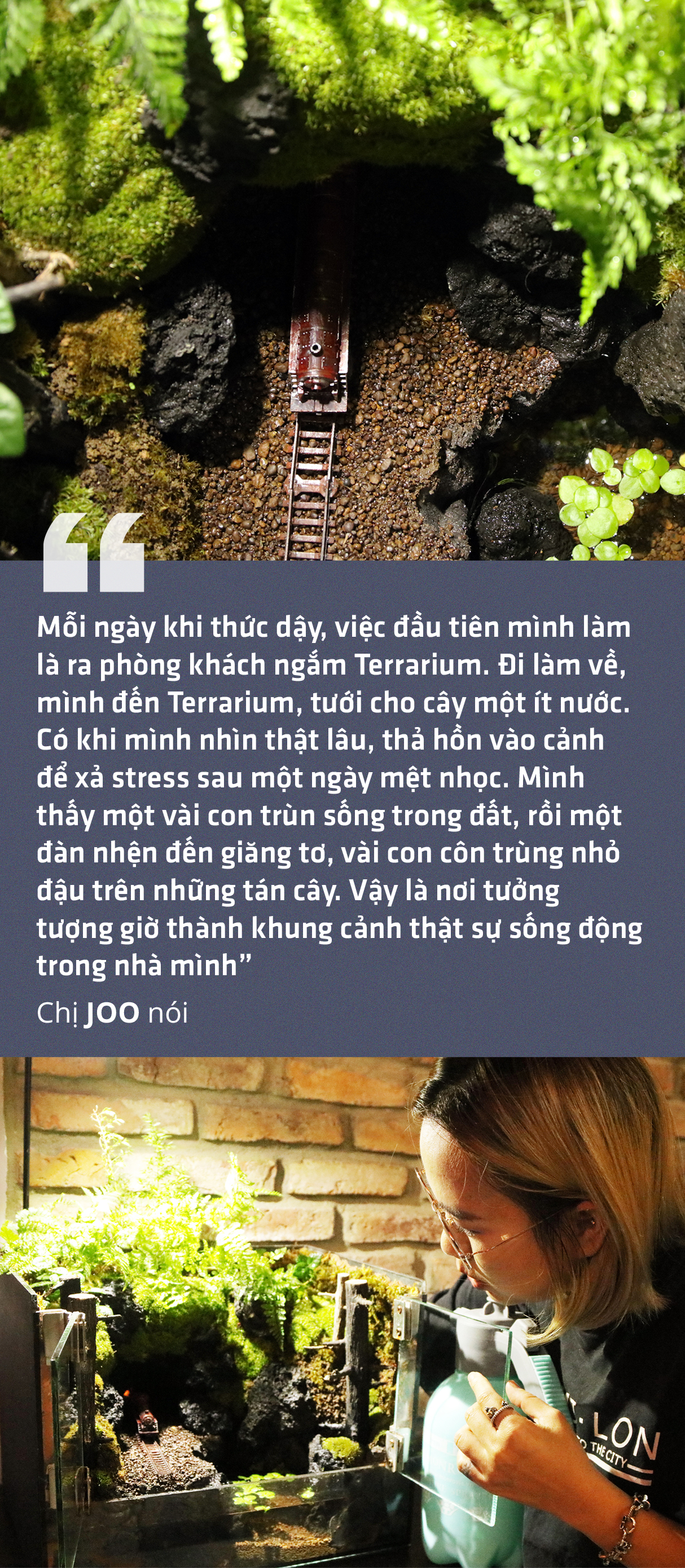 Đem thiên nhiên vào hộp Terrarium - Ảnh 9.