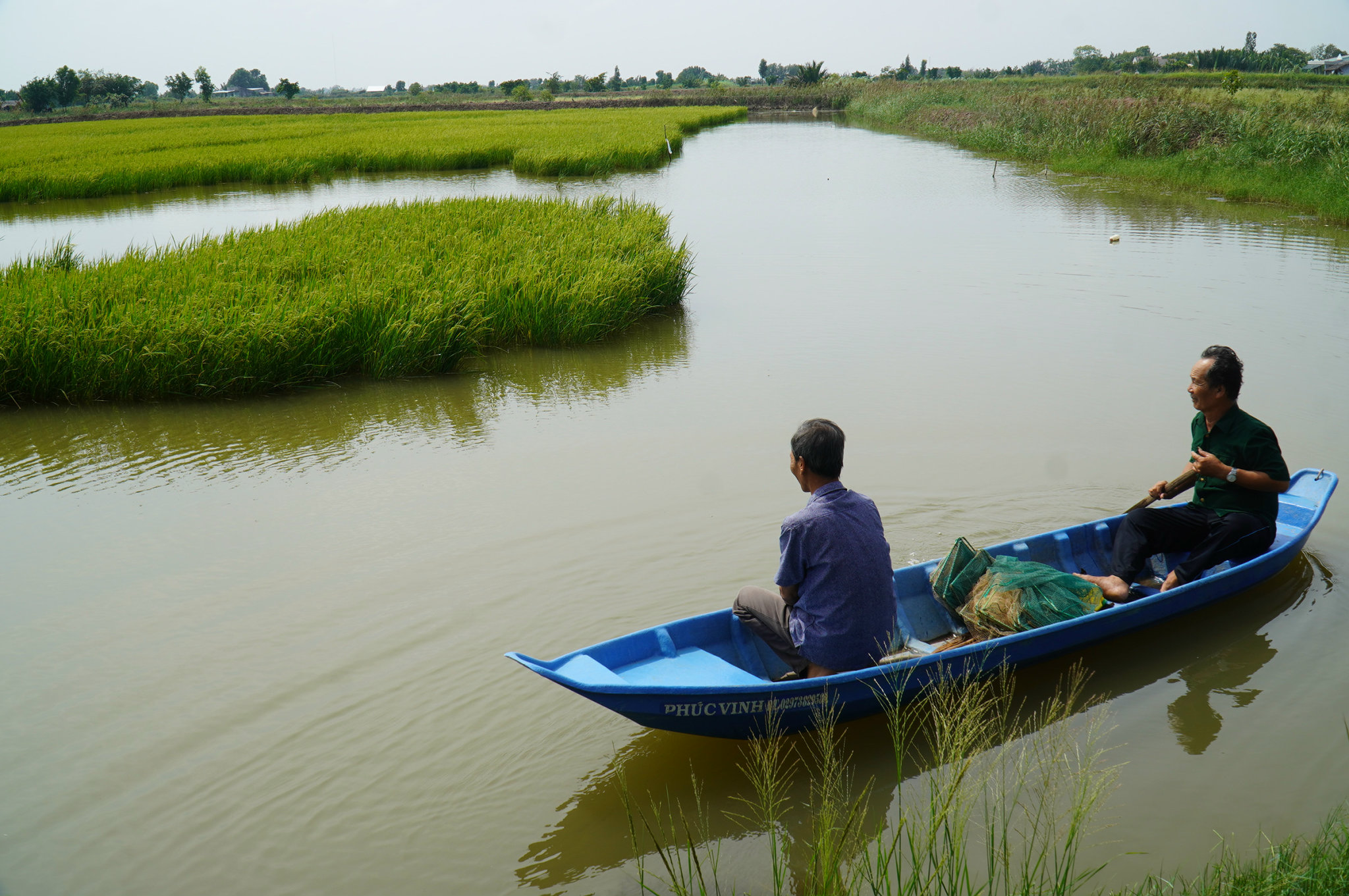 Sống khỏe với mô hình lúa tôm - Ảnh 1. Sống khỏe với mô hình lúa tôm - Ảnh 1.