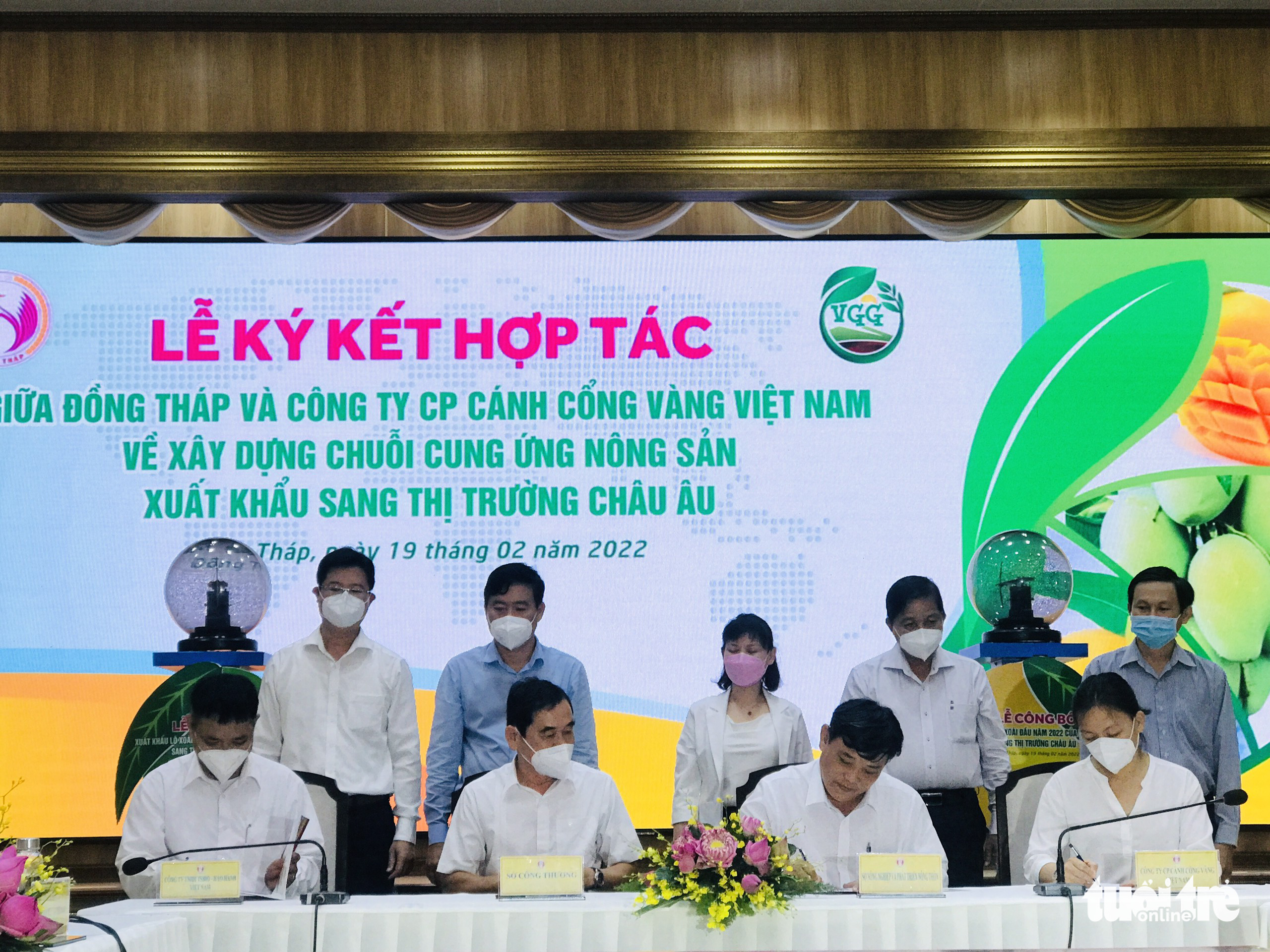 Đồng Tháp xuất khẩu 3 tấn xoài cát chu đầu tiên trong năm 2022 sang thị trường châu Âu - Ảnh 3. Đồng Tháp xuất khẩu 3 tấn xoài cát chu đầu tiên trong năm 2022 sang thị trường châu Âu - Ảnh 3.