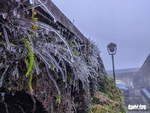 Đỉnh Phja Oắc, Mẫu Sơn xuống dưới 0 độ C, băng giá bao phủ trắng - Ảnh 2. Đỉnh Phja Oắc, Mẫu Sơn xuống dưới 0 độ C, băng giá bao phủ trắng - Ảnh 2.