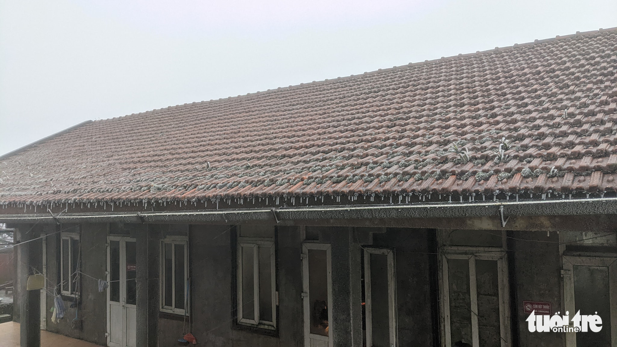 Đỉnh Phja Oắc, Mẫu Sơn xuống dưới 0 độ C, băng giá bao phủ trắng - Ảnh 8. Đỉnh Phja Oắc, Mẫu Sơn xuống dưới 0 độ C, băng giá bao phủ trắng - Ảnh 8.