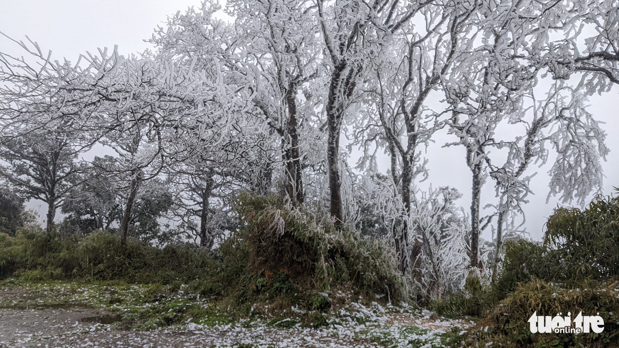 Đỉnh Phja Oắc, Mẫu Sơn xuống dưới 0 độ C, băng giá bao phủ trắng - Ảnh 4. Đỉnh Phja Oắc, Mẫu Sơn xuống dưới 0 độ C, băng giá bao phủ trắng - Ảnh 4.