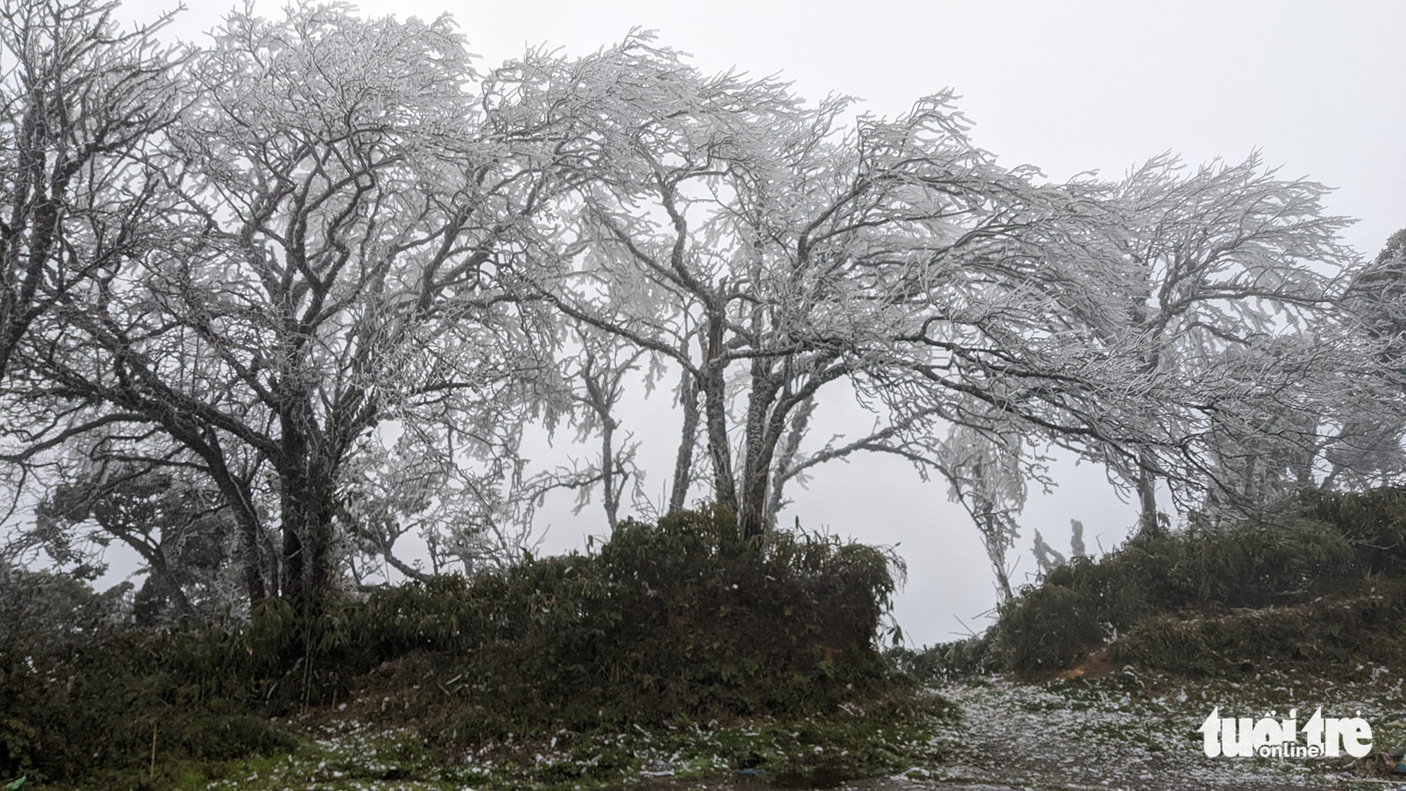 Đỉnh Phja Oắc, Mẫu Sơn xuống dưới 0 độ C, băng giá bao phủ trắng - Ảnh 1. Đỉnh Phja Oắc, Mẫu Sơn xuống dưới 0 độ C, băng giá bao phủ trắng - Ảnh 1.