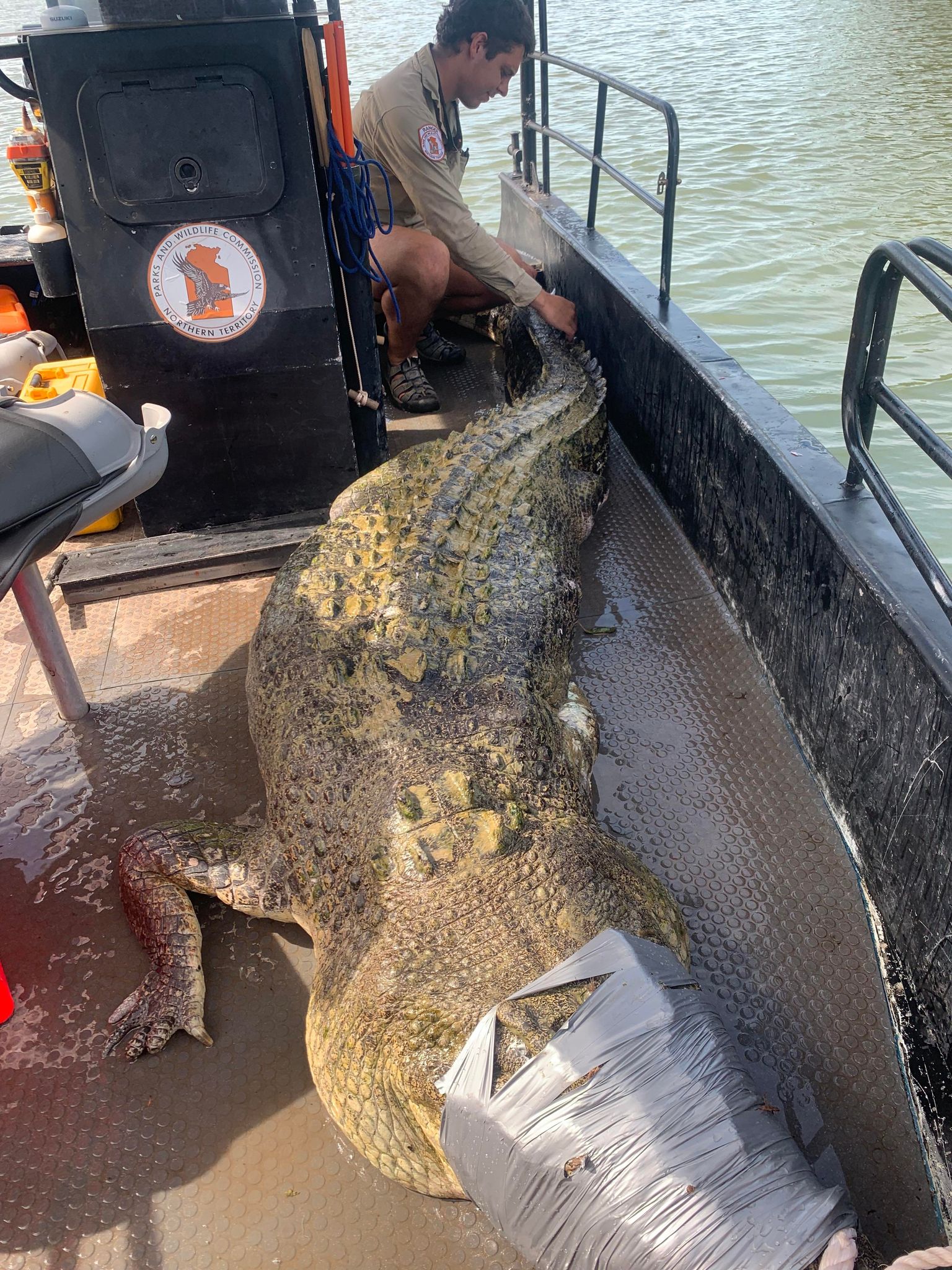 Những người làm nghề buộc mõm cá sấu khổng lồ - Ảnh 2. Những người làm nghề buộc mõm cá sấu khổng lồ - Ảnh 2.