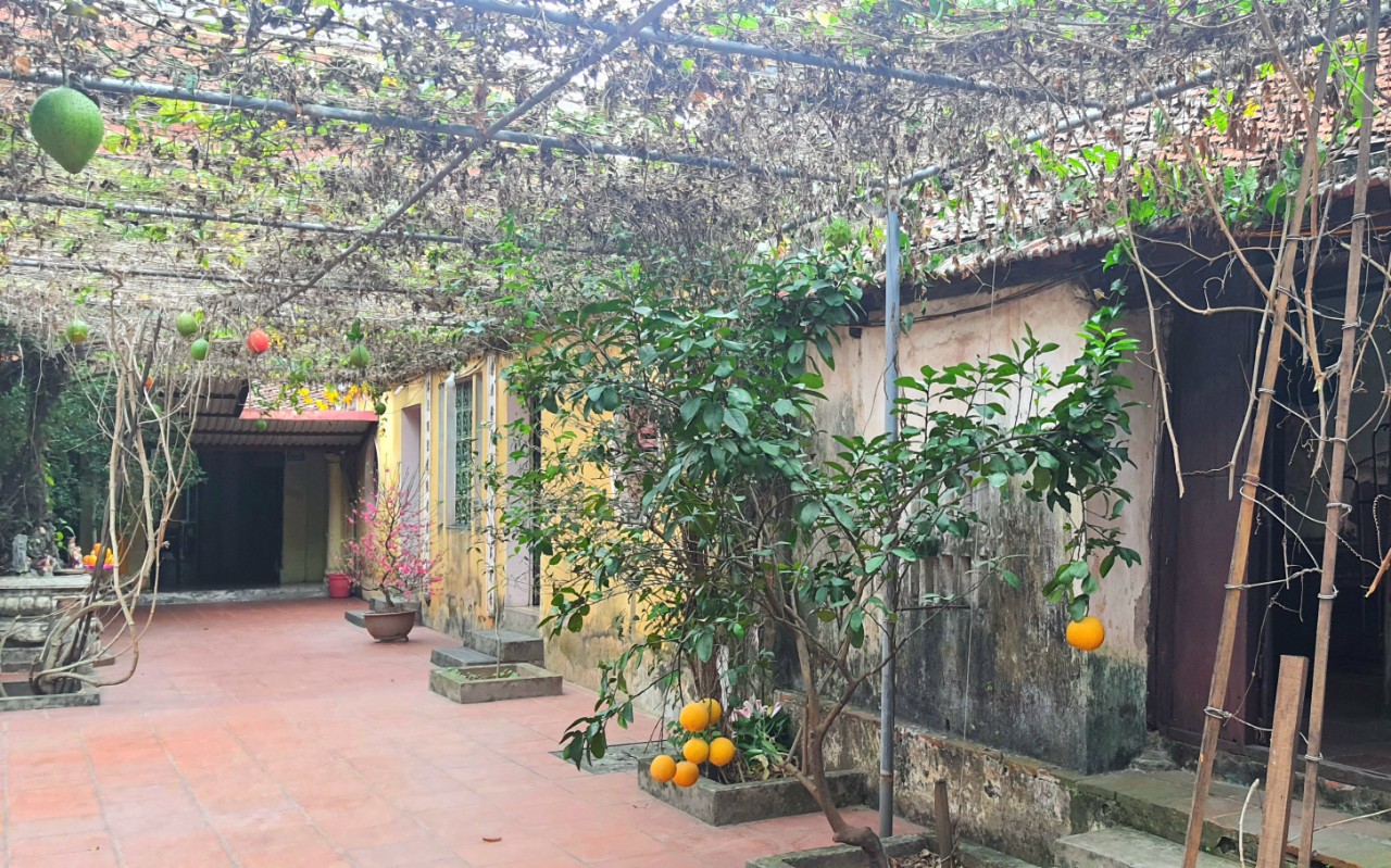 Cứ lặng thầm và lắng nghe, mùa xuân nói biết bao điều - Ảnh 1. Cứ lặng thầm và lắng nghe, mùa xuân nói biết bao điều - Ảnh 1.